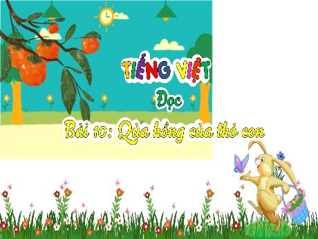 Bài giảng Tiếng Việt 3 (Kết nối tri thức) - Bài 10: Đọc: Quả hồng của thỏ con
