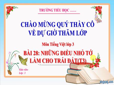 Bài giảng Tiếng Việt 3 - Tuần 33, Bài 28: Những điều nhỏ tớ làm cho Trái Đất (Tiết 3)