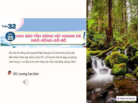 Bài giảng Tiếng Việt 4 (Kết nối tri thức) - Tuần 32, Bài 25: Khu bảo tồn động vật hoang dã Ngô-rông-gô-rô (Lương Cao Sơn)