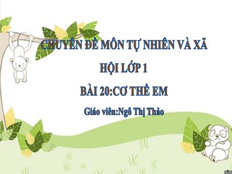 Bài giảng TNXH 1 (Kết nối tri thức) - Bài 20: Cơ thể em (Ngô Thị Thảo)