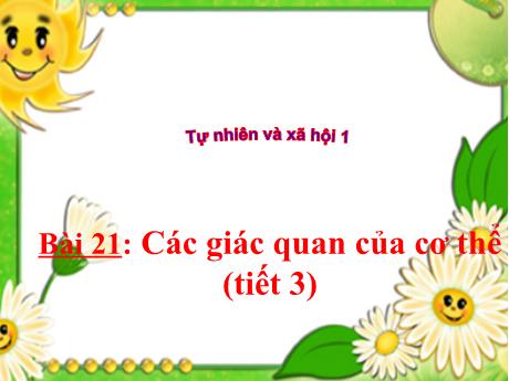 Bài giảng TNXH 1 (Kết nối tri thức) - Bài 21: Các giác quan của cơ thể (Tiết 3)