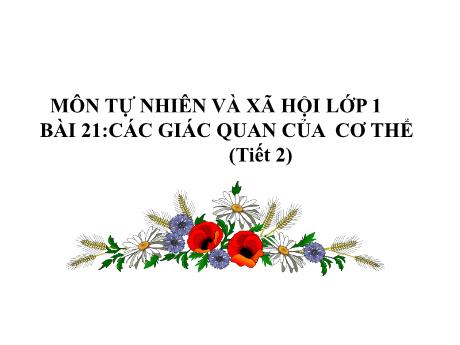 Bài giảng TNXH 1 (Kết nối tri thức) - Bài 21: Các giác quan của cơ thể (Tiết 2)