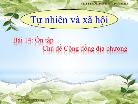 Bài giảng TNXH 1 - Tuần 16, Bài 14: Ôn tập chủ đề Cộng đồng địa phương
