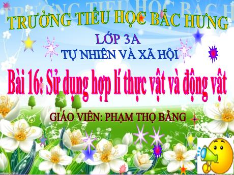 Bài giảng TNXH 3 (Kết nối tri thức) - Bài 16: Sử dụng hợp lí thực vật và động vật (Phạm Thọ Bằng)