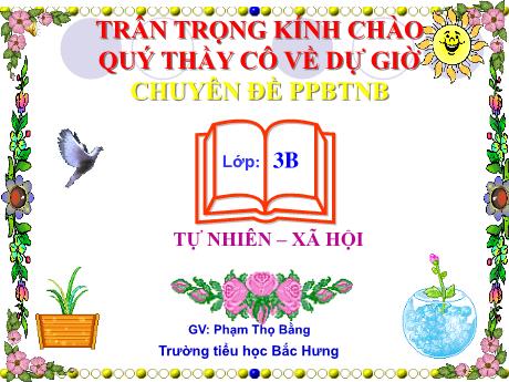 Bài giảng TNXH 3 (Kết nối tri thức) - Bài 45: Lá cây (Phạm Thọ Bằng)