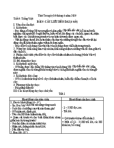 Kế hoạch bài dạy Tiếng Việt 1 - Tuần 30, Bài 5: Cây liễu dẻo dai
